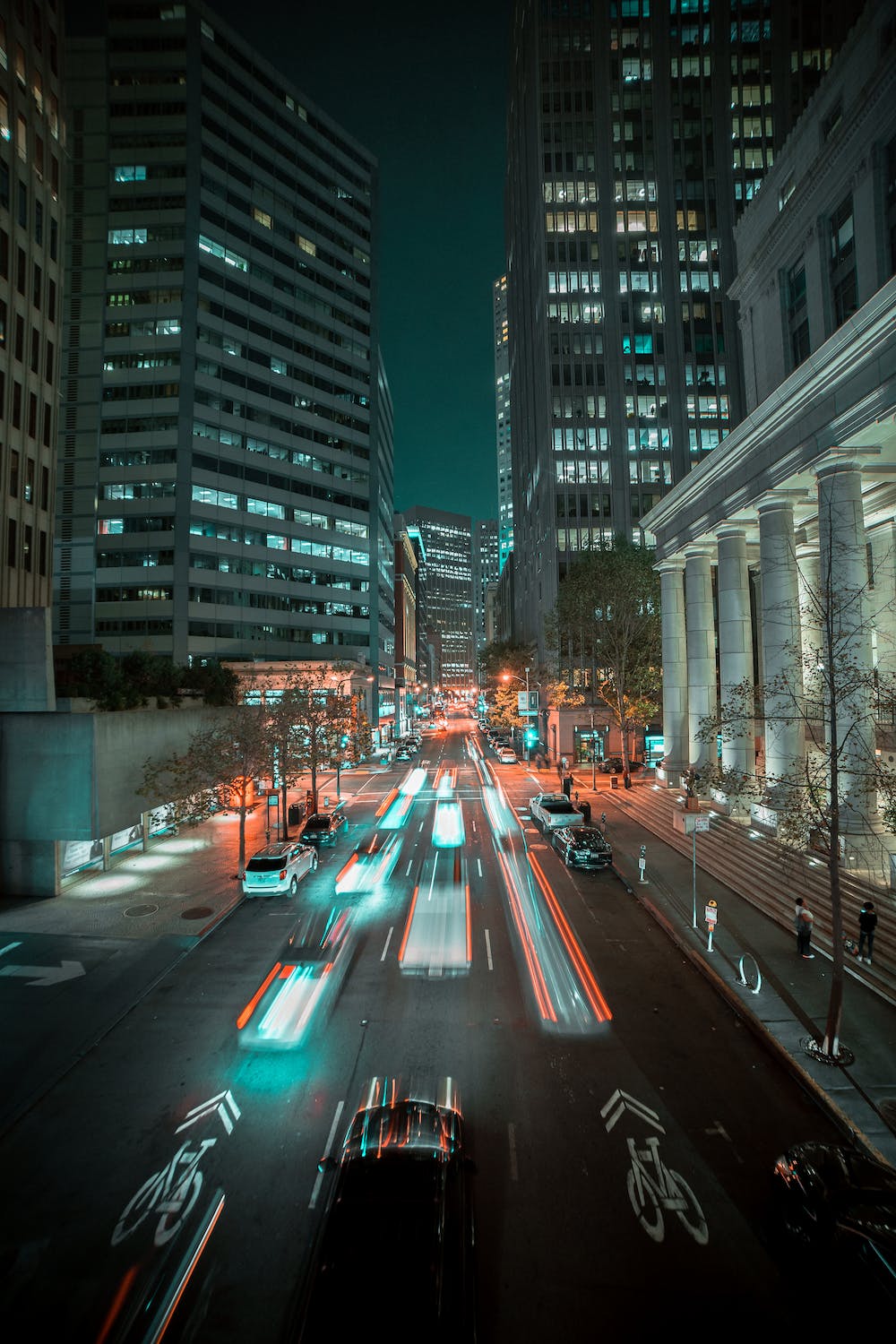 Roaming the Urban Jungle