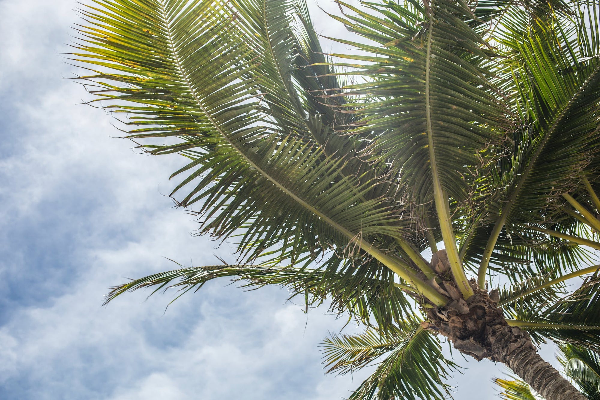 Top 10 RV Travel Trailer Spots for Sunshine Seekers - Florida