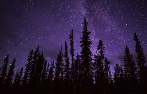 Discover Dream RV Destinations
