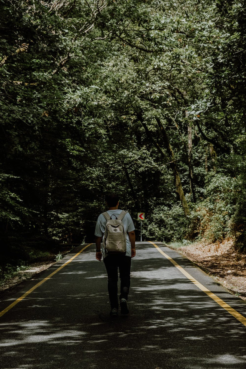 The Road Less Traveled