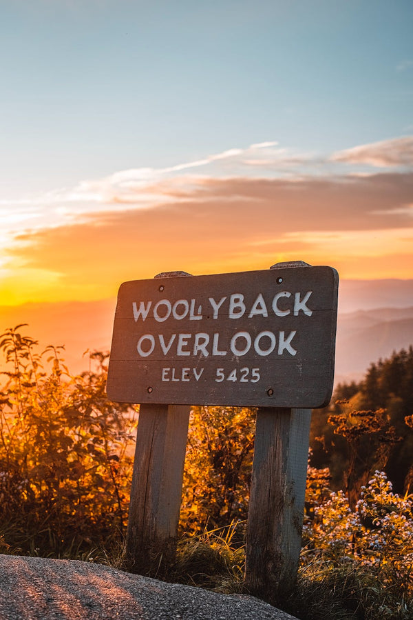 The Ultimate Camping Guide to Blue Ridge Parkway National Park