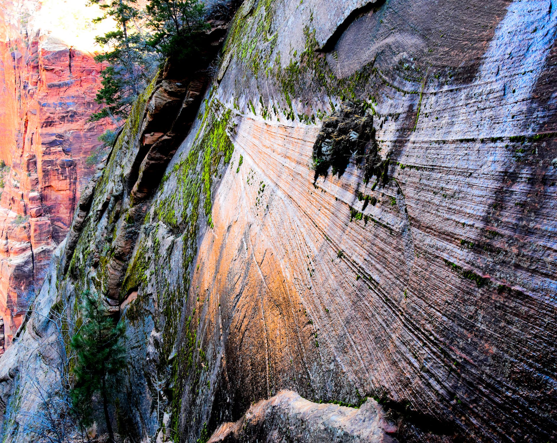 The Ultimate Camping Guide to Zion National Park Part 1